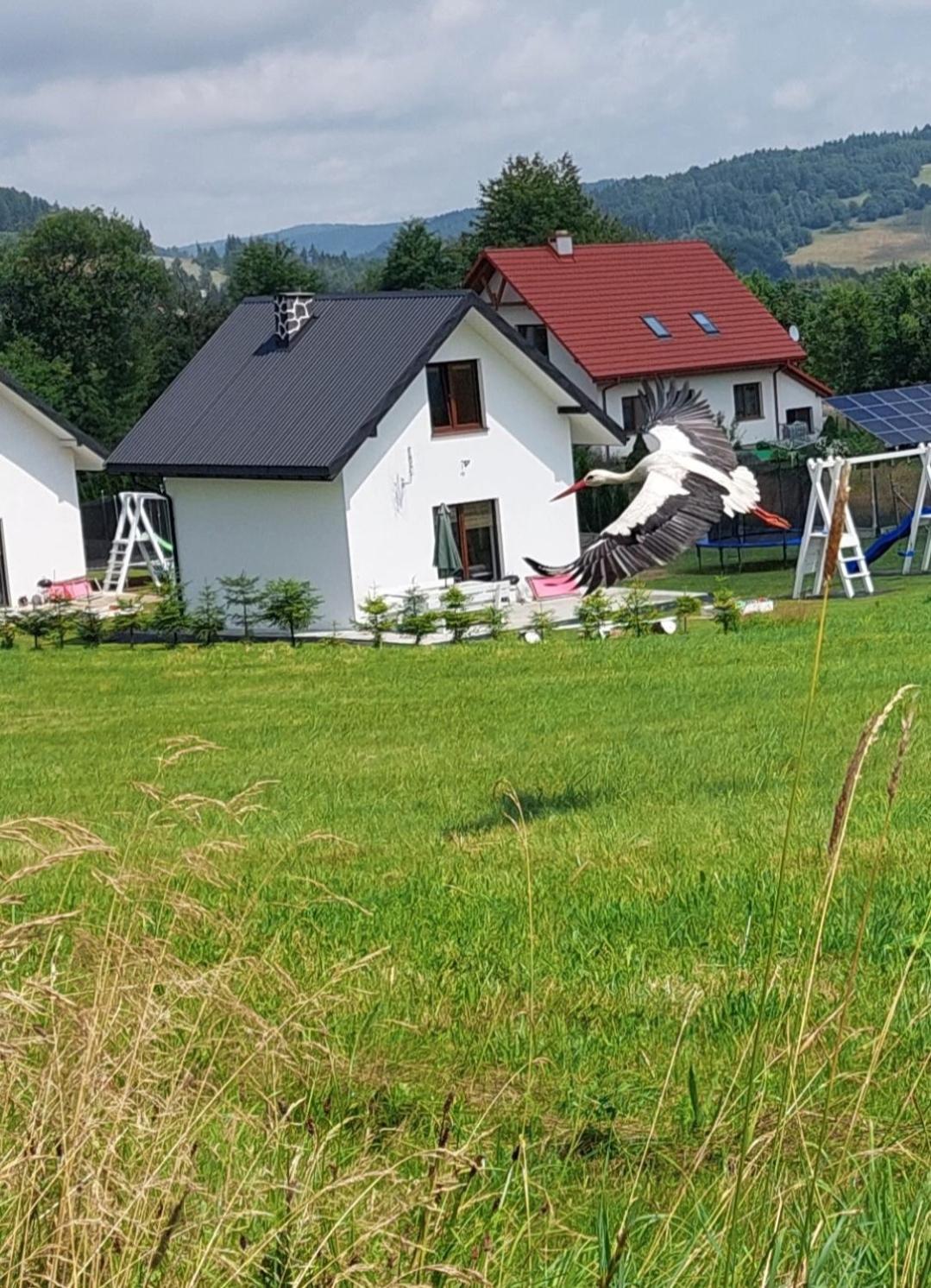 Domek Pod Holica 2 Bieszczady Ustrzyki Dolne Exterior photo